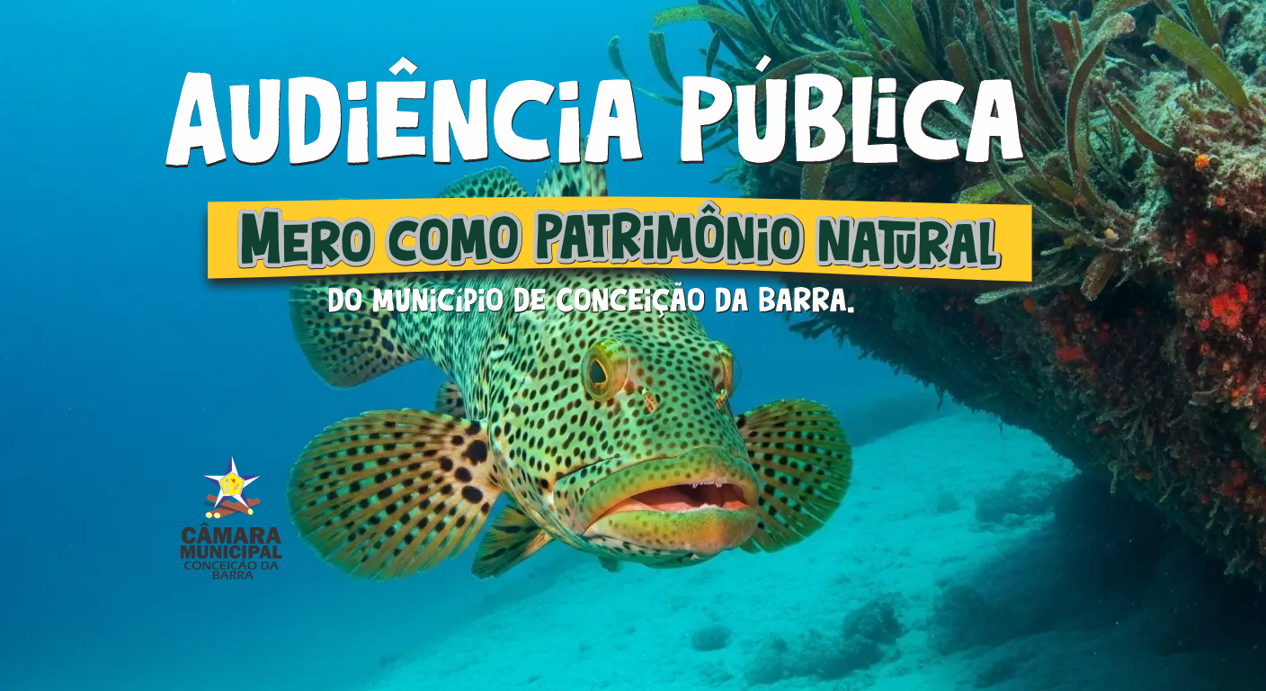 Câmara Municipal sedia Audiência Pública sobre reconhecimento do peixe Mero como Patrimônio Natural do Município
