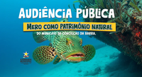 Câmara Municipal sedia Audiência Pública sobre reconhecimento do peixe Mero como Patrimônio Natural do Município